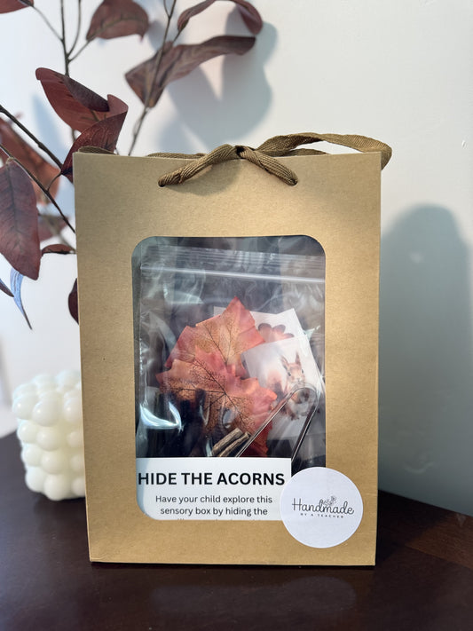 Hide the Acorn Sensory Bin