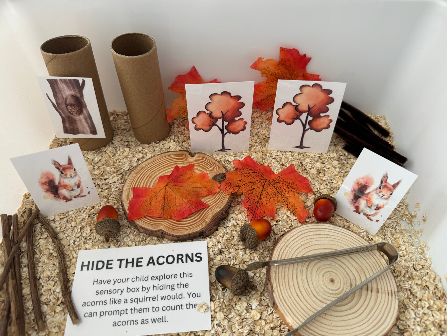 Hide the Acorn Sensory Bin