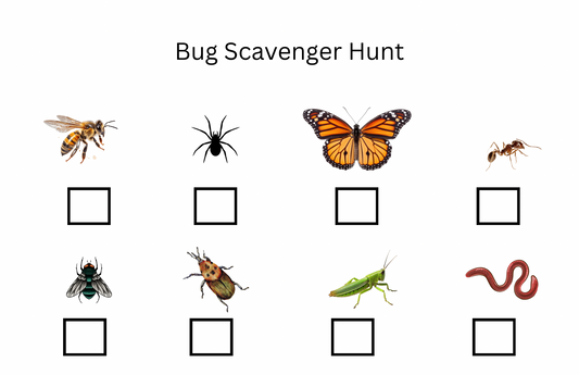 Bug Scavenger Hunt (FREE download)