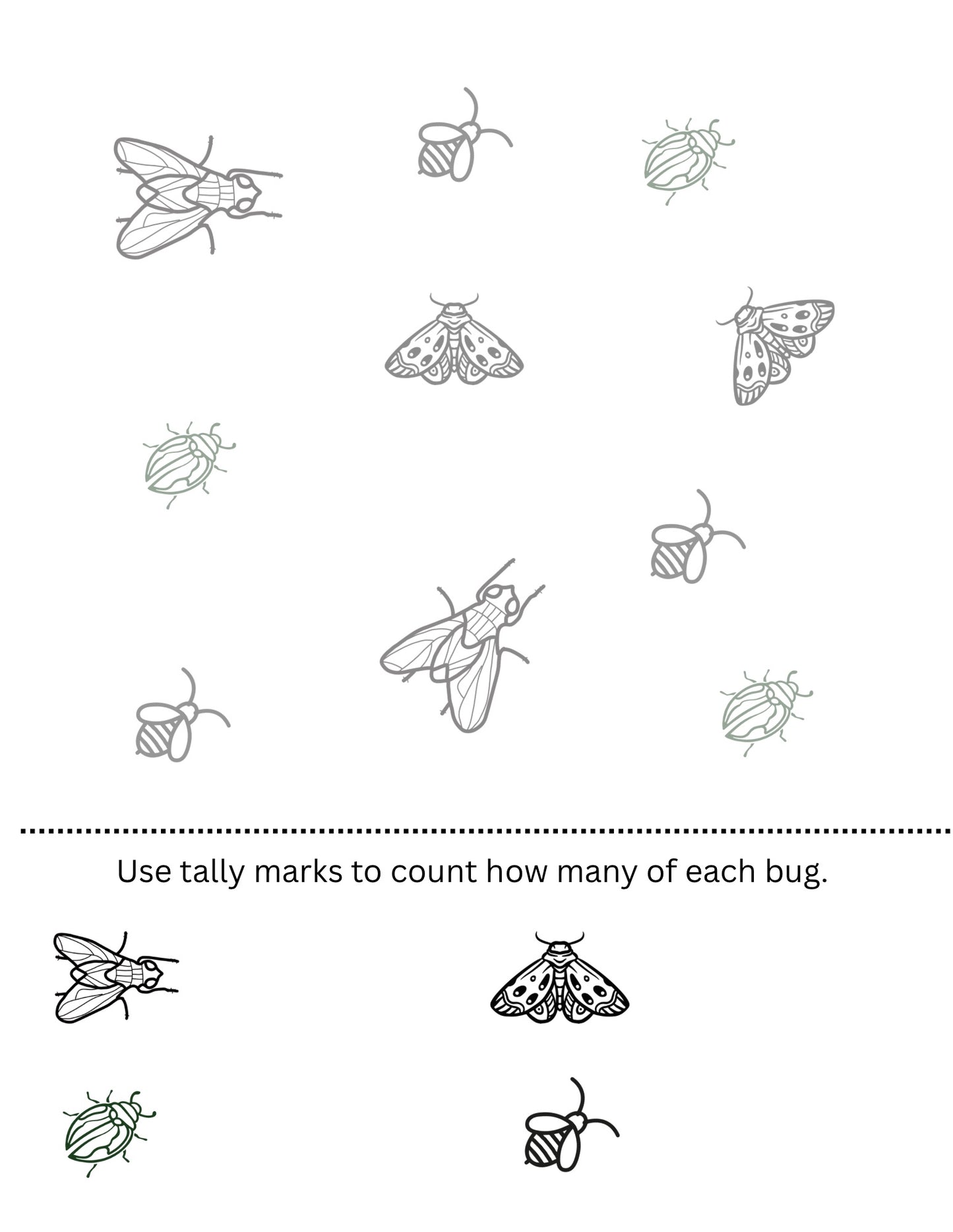 FREE X-ray Bug Hunt