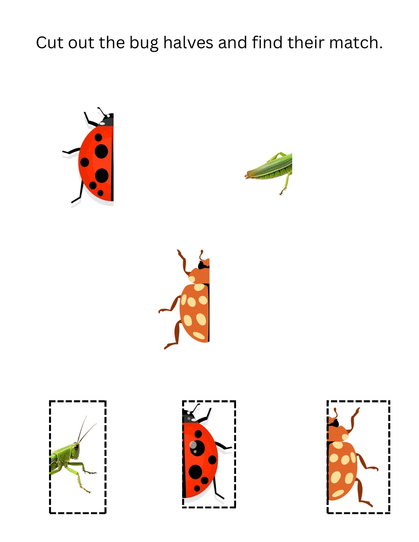 Little Learner’s Club Bug Unit DIgital Download
